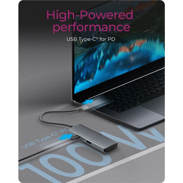 ICY BOX IB-DK4022a-CPD USB tipo C Docking station