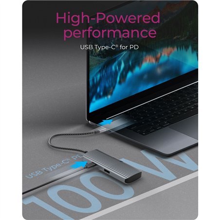 ICY BOX IB-DK4022a-CPD USB tipo C Docking station