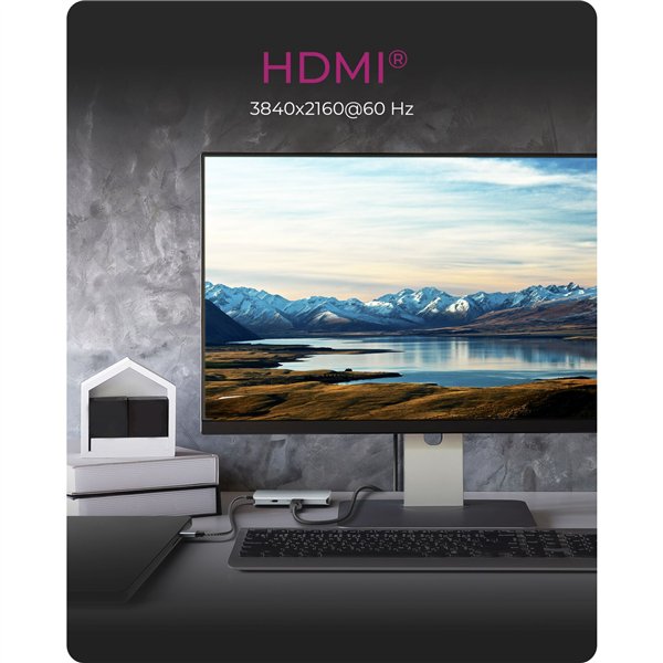 ICY BOX IB-DK4022a-CPD USB tipo C Docking station
