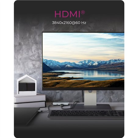 ICY BOX IB-DK4022a-CPD USB tipo C Docking station