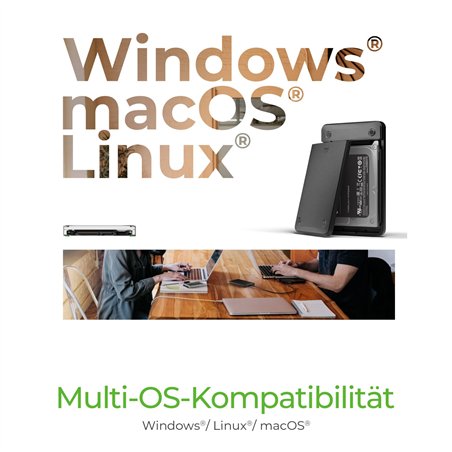 ICY BOX IB-201T-CU31 2,5  SATA HDD/SSD alloggiamento