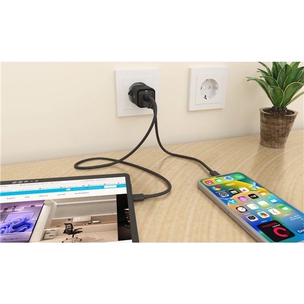 ICY BOX IB-PS1020-PD 2 Port 20W aliment.