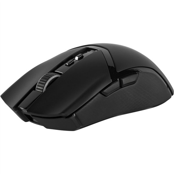 Razer Cobra Pro