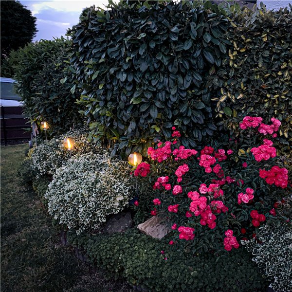 1x2 REV Solar Stangen mit Kugeln 6h Leuchtdauer, IP44  2920010050