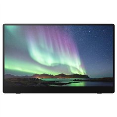 Ricoh 150 OLED Monitor mobile con Touchscreen