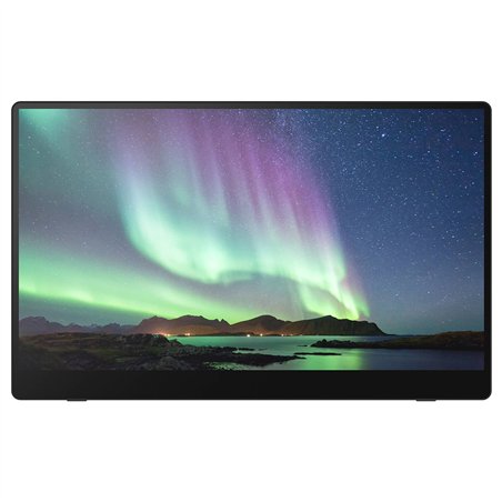 Ricoh 150 OLED Monitor mobile con Touchscreen