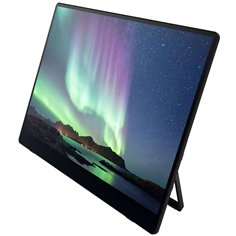 Ricoh 150 OLED Monitor mobile con Touchscreen 2