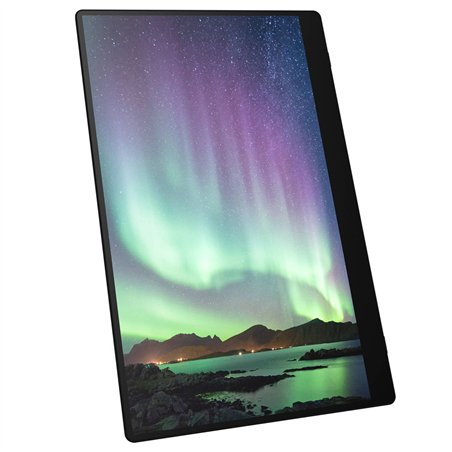 Ricoh 150BW OLED-Monitor mobile con Touchscreen