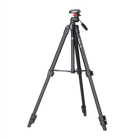 Rollei Compact Traveler Star S1