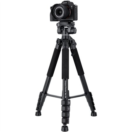 Rollei Compact Traveler Star S4