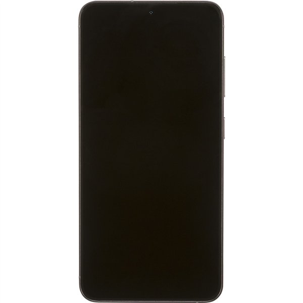 Samsung Galaxy S24 (256GB) onyx nero