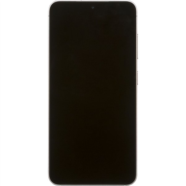 Samsung Galaxy S25 128GB Enterprise Edition Silver Shadow