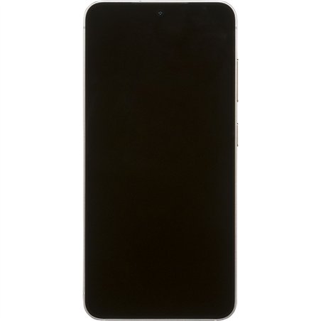 Samsung Galaxy S25 128GB Enterprise Edition Silver Shadow