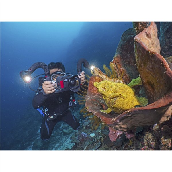 Sealife Sea Dragon 5000+ con Color Boost Light Head (SL680-1)