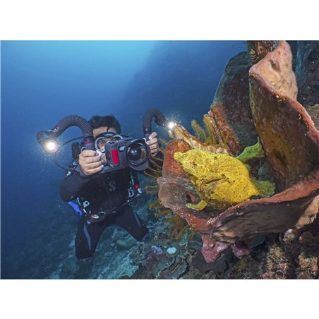 Sealife Sea Dragon 5000+ con Color Boost Light Head (SL680-1)