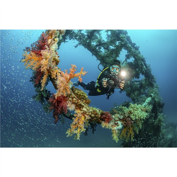 Sealife Ultra-Wide Angle Dome Lens     (SL052)