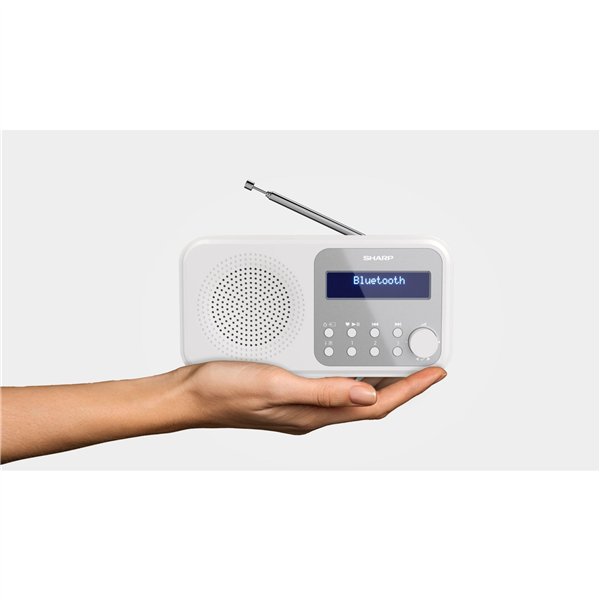 Sharp DR-P420(WH) bian.