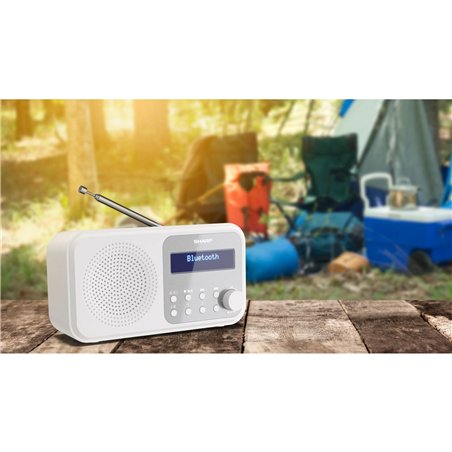 Sharp DR-P420(WH) bian.