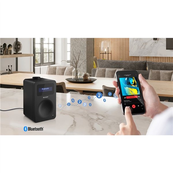 Sharp DR-430 Tokyo nero