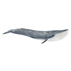 Schleich Wild Life         14806 Balenottera azzurra