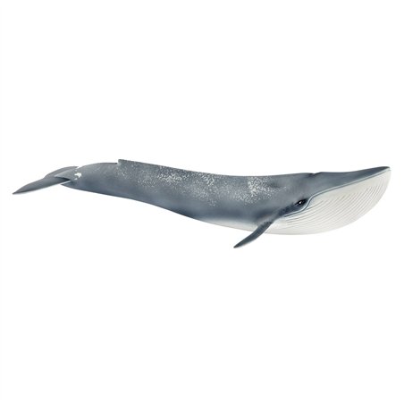 Schleich Wild Life         14806 Balenottera azzurra