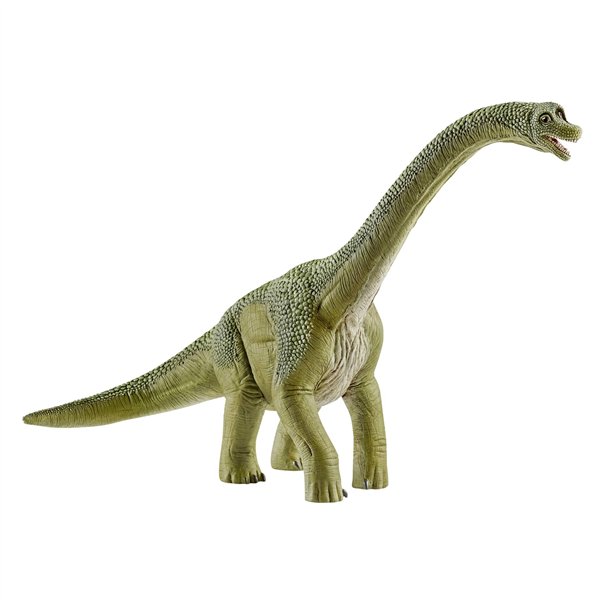 Schleich Dinosaurs         14581 Brachiosauro