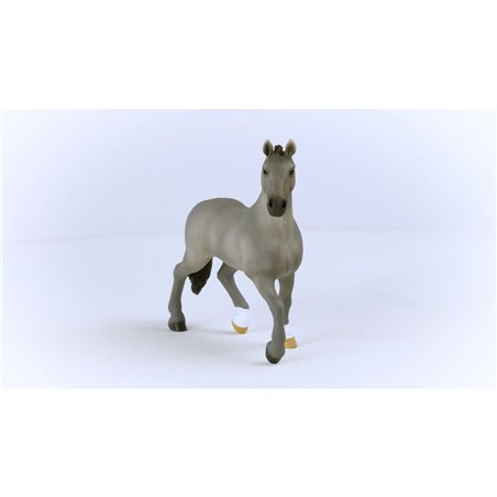 Schleich Horse Club        13956 stall. Cheval de Selle Francais