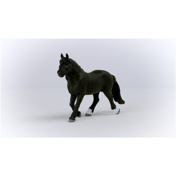 Schleich Farm World stallone Noriker           13958