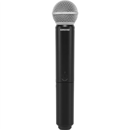 Shure BLX24E/SM58-M17