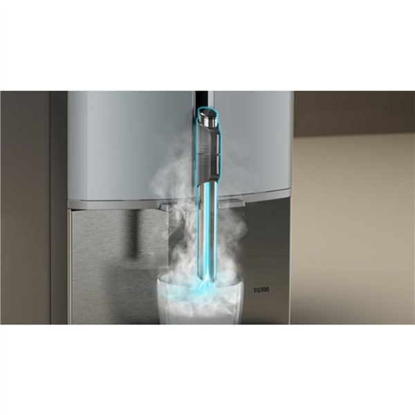 Siemens TF 301 E19 EQ.300