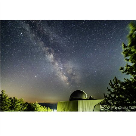 Samyang MF 2,8/14 MK2   Sony E