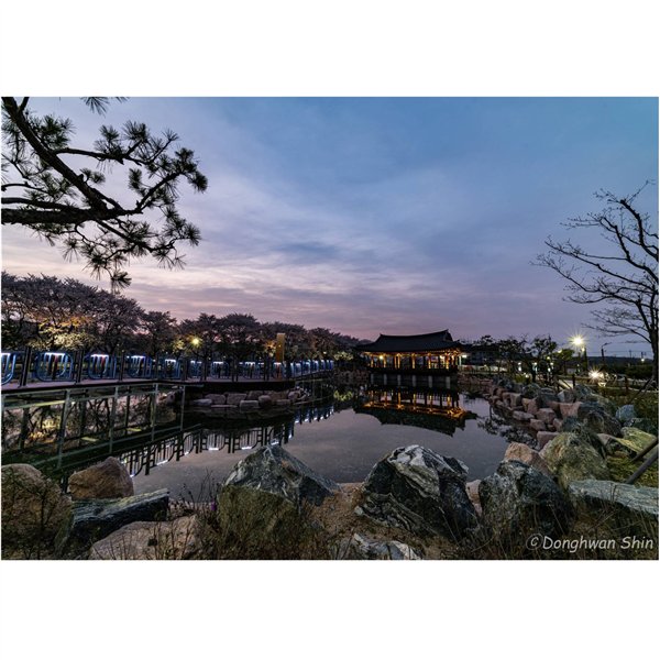 Samyang MF 2,8/14 MK2   Sony E