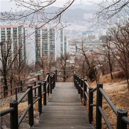 Samyang AF 1,4/35 FE II   Sony E