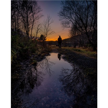 Samyang AF 2,0/12       Canon RF