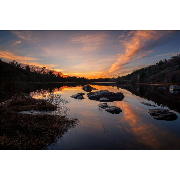 Samyang AF 2,0/12       Canon RF