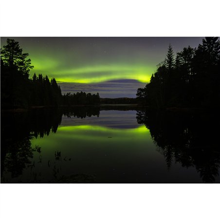 Samyang AF 2,0/12       Canon RF