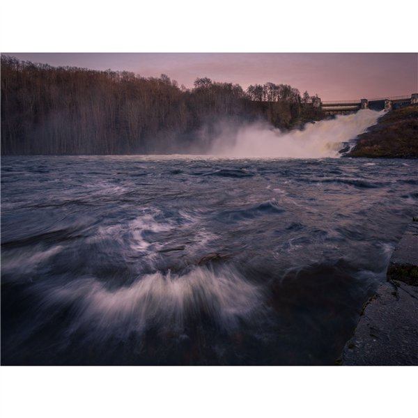 Samyang AF 2,0/12       Canon RF