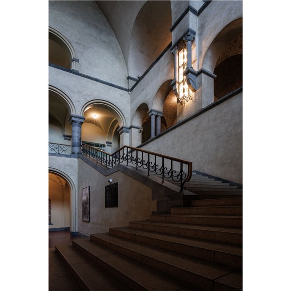 Samyang AF 2,0/12       Canon RF