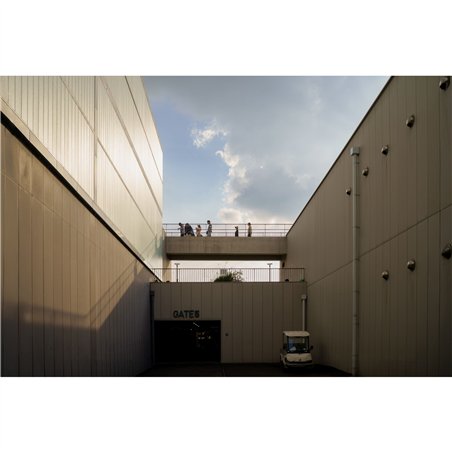 Samyang AF 1,4/35 P FE    Sony E