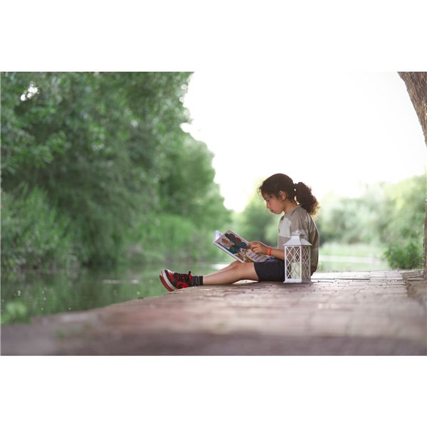 Samyang AF 1,8/85 P FE    Sony E