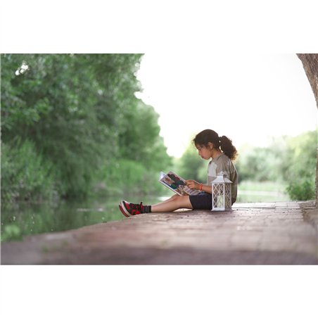 Samyang AF 1,8/85 P FE    Sony E