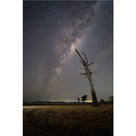 Samyang AF 2,8/16 P FE    Sony E