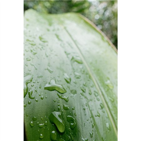 Samyang AF 2,8/16 P FE    Sony E