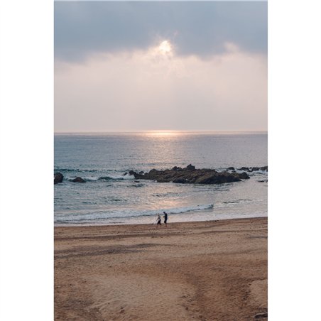 Samyang AF 2,8/24-60 FE   Sony E Schneider Kreuznach