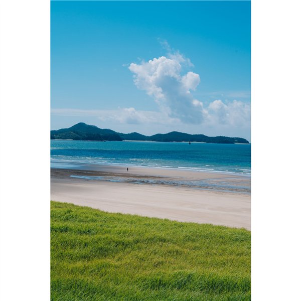 Samyang AF 2,8/24-60 FE   Sony E Schneider Kreuznach