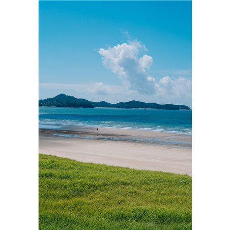 Samyang AF 2,8/24-60 FE   Sony E Schneider Kreuznach