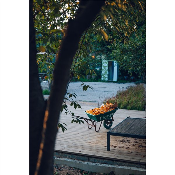 Samyang AF 2,8/24-60 FE   Sony E Schneider Kreuznach