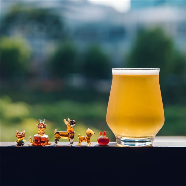 Samyang AF 2,8/24-60 FE   Sony E Schneider Kreuznach