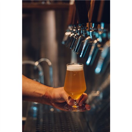 Samyang AF 2,8/24-60 FE   Sony E Schneider Kreuznach