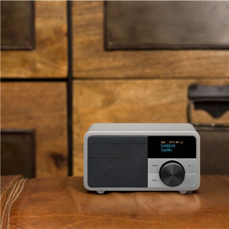 Sangean DDR-7 Glacier Silver